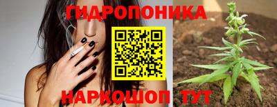 spice Малгобек