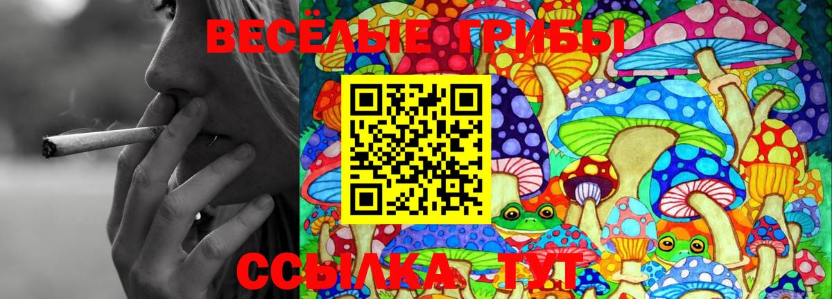 Галлюциногенные грибы прущие грибы  Вход с VPN  Усолье-Сибирское 