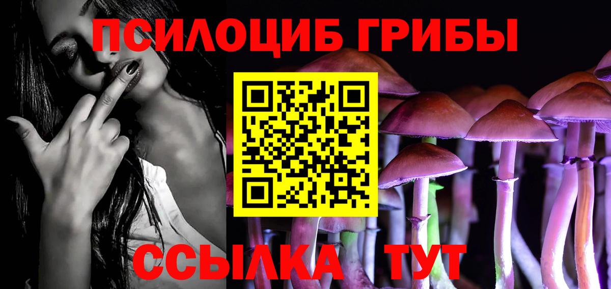 Псилоцибиновые грибы Psilocybine cubensis Усолье-Сибирское